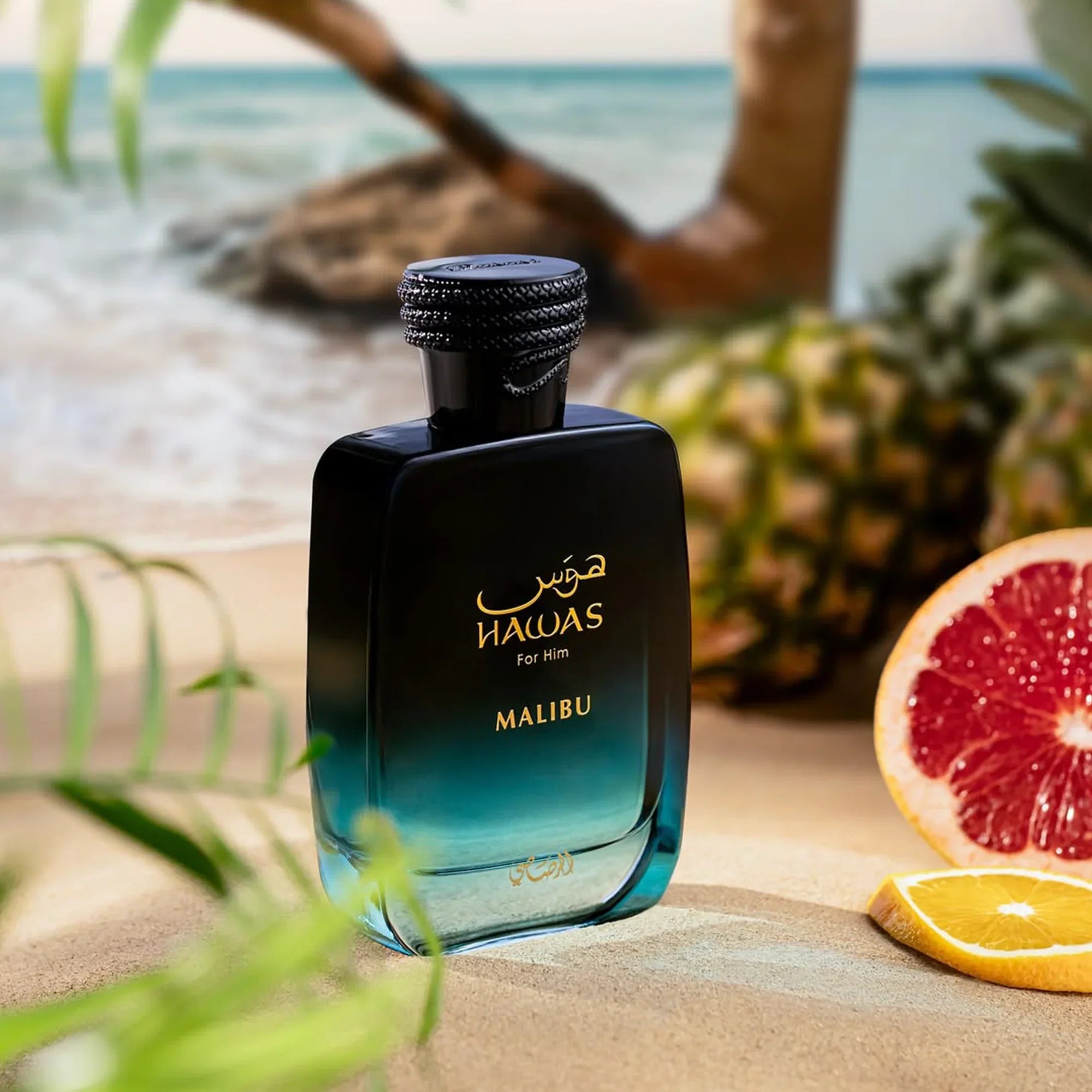 رصاصي هوس ماليبو عطر 100 مل للرجال
