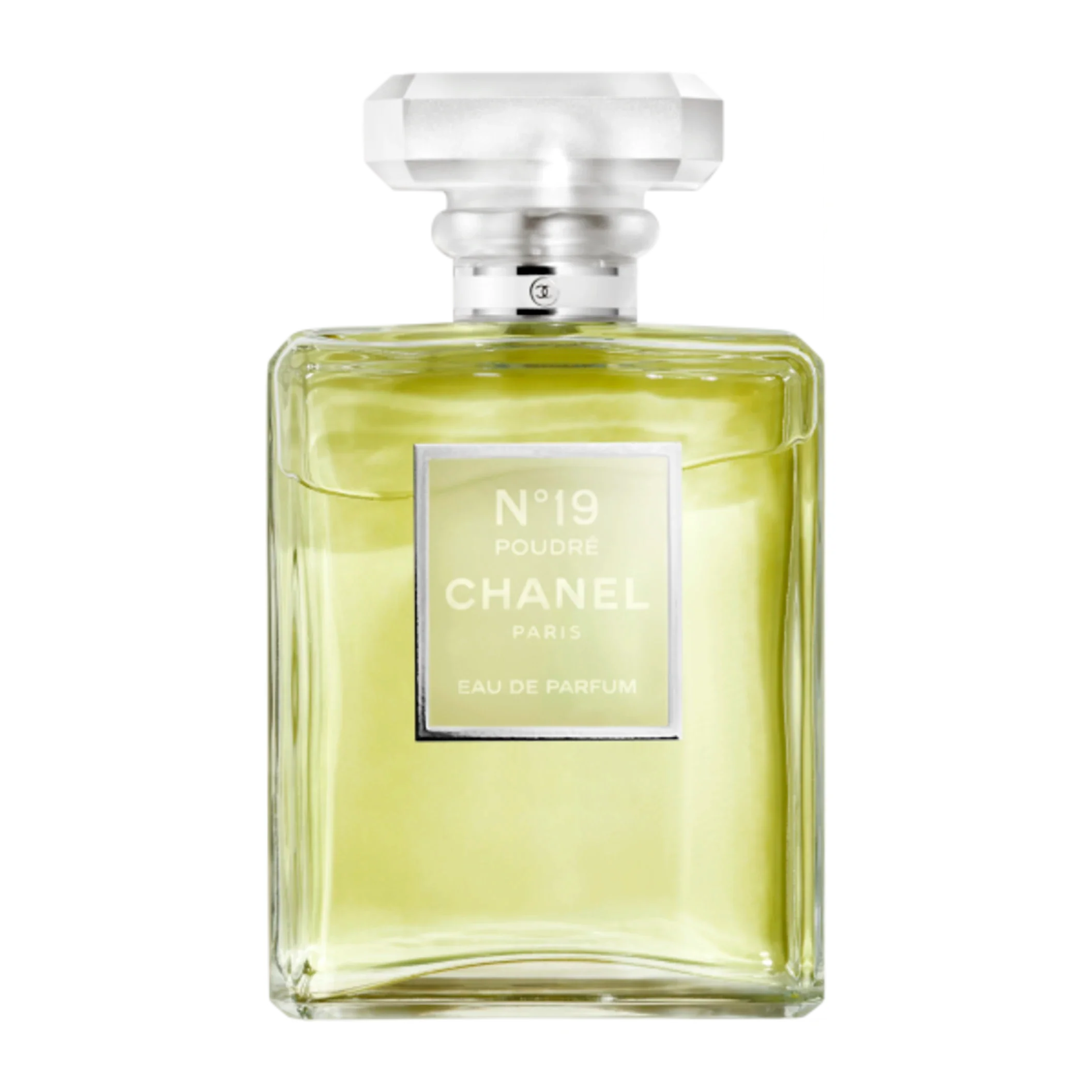CHANEL N19 POUDRE EDP SPRAY 100ML FOR WOMEN