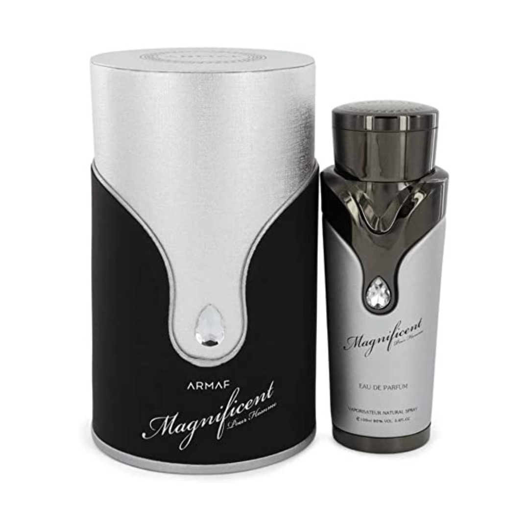 عطر ارماف ماجنيفيسنت سيلفر او دي بارفان 100 مل للرجال